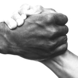 Que ce soit en amont ou post formation, je construis avec vous des formations répondant à vos besoins.